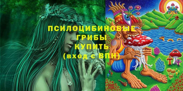 герыч Бугульма