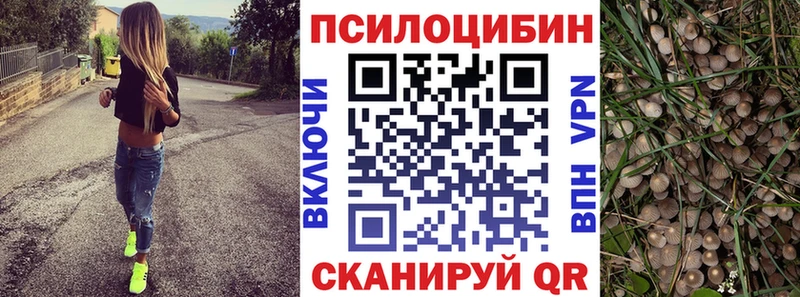 хочу наркоту Микунь Псилоцибиновые грибы Psilocybine cubensis